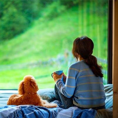 Thing To Do Pet Friendly